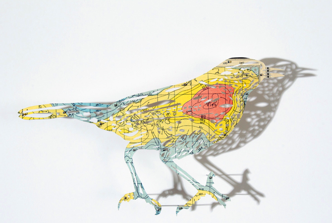 Art : le bestiaire papier de Claire Brewster 1