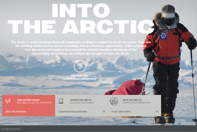 Into the Arctic : un site rafraîchissant et engagé 1