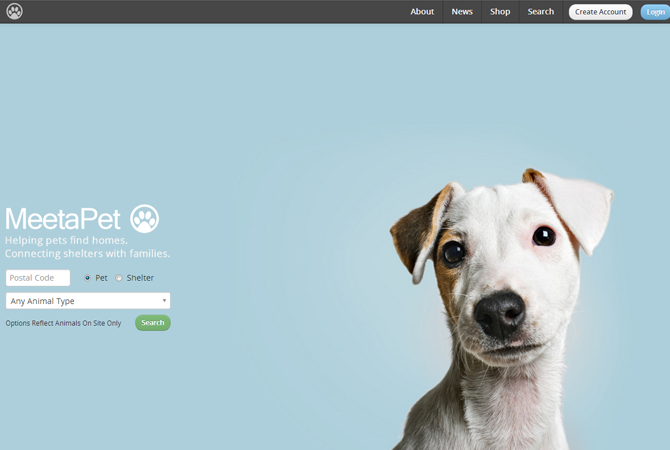 www.meetapet.com