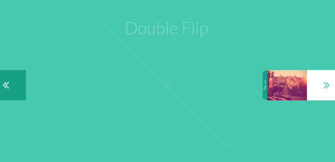 double-flip