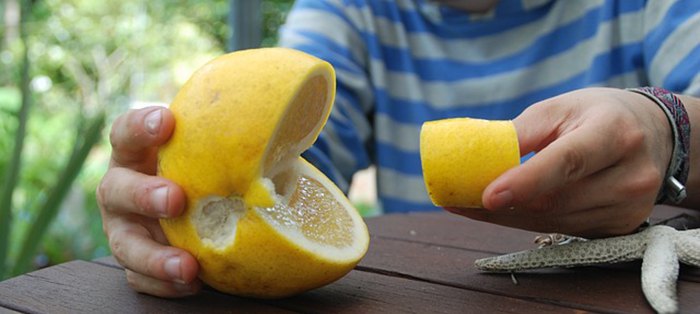pacman citron