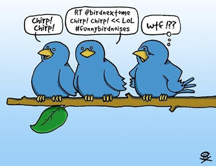 twitter-birds