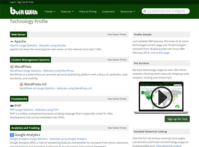 Une capture d'écran du site Web montrant le fond vert.