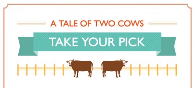 tale-of-two-cows-infographic
