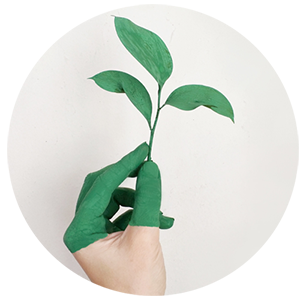 Une personne tenant une plante verte à la main tout en participant à une charte d'entreprise.