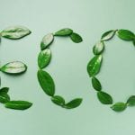 Les feuilles vertes composent le mot éco sur fond vert dans un web design éco-conception.