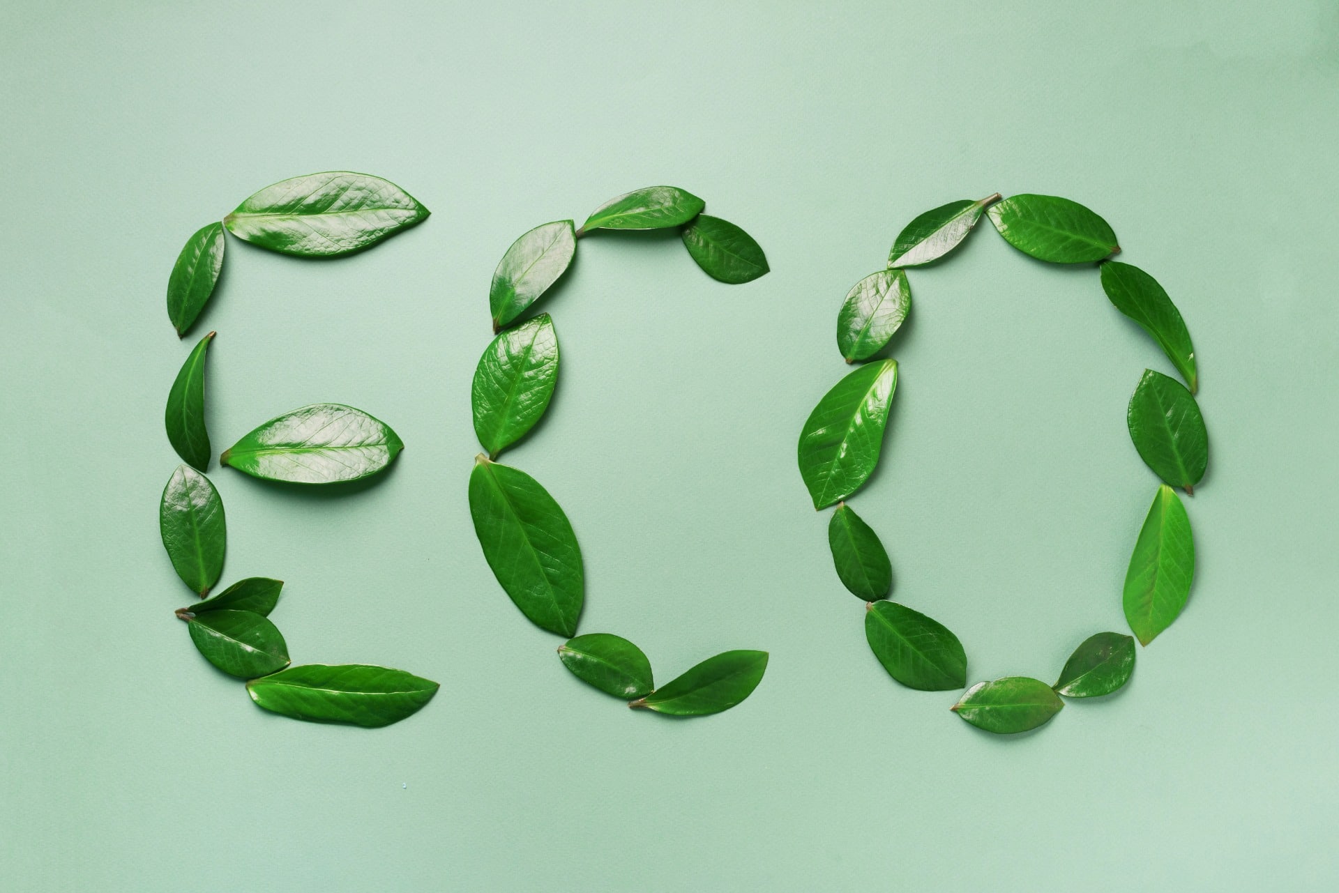 Les feuilles vertes composent le mot éco sur fond vert dans un web design éco-conception.
