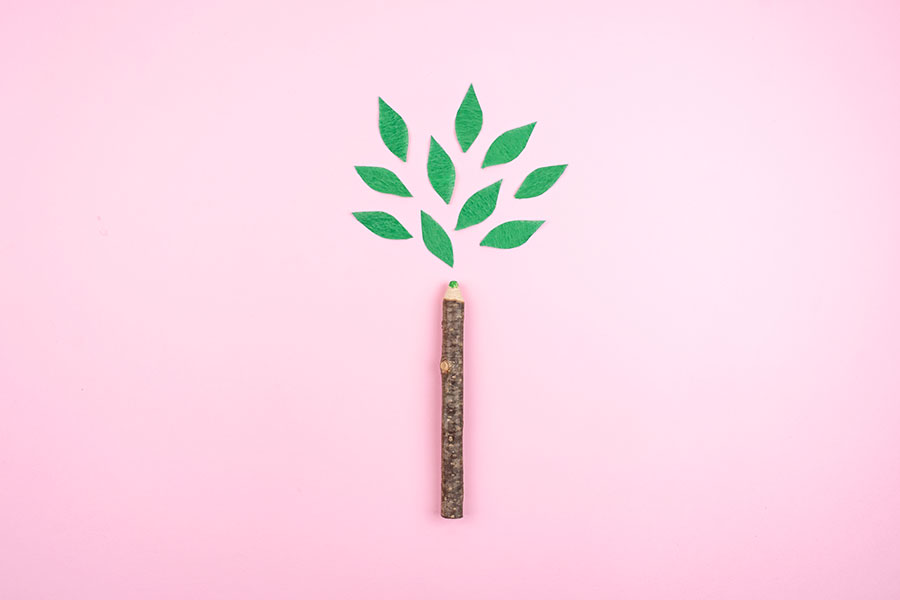 Un crayon avec une feuille verte montrant sa faible empreinte carbone sur un fond rose vif.