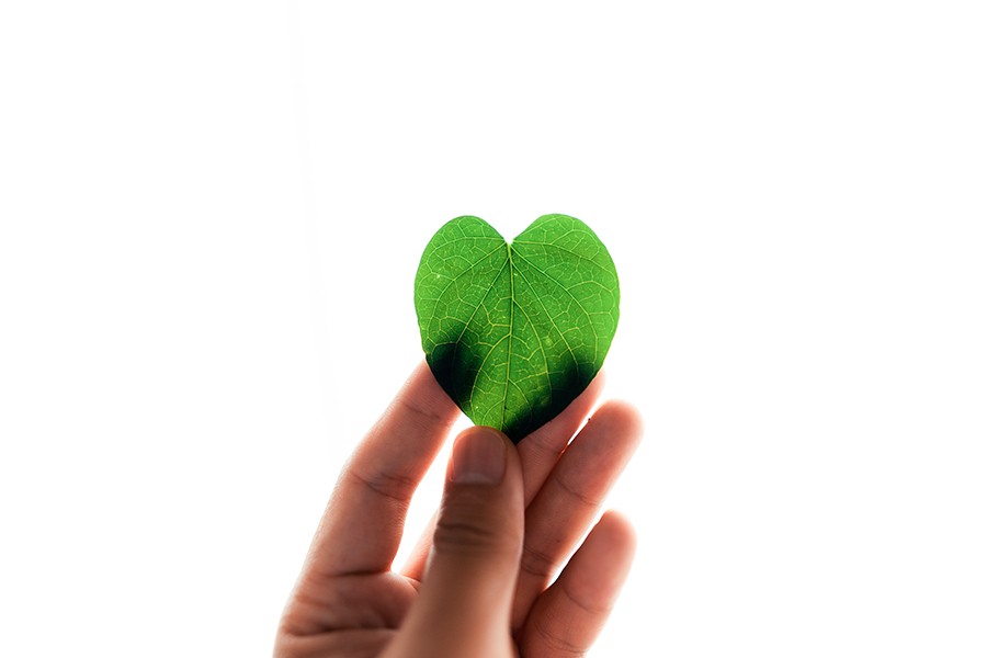 Une personne calcule son empreinte carbone tout en tenant une feuille verte à la main.