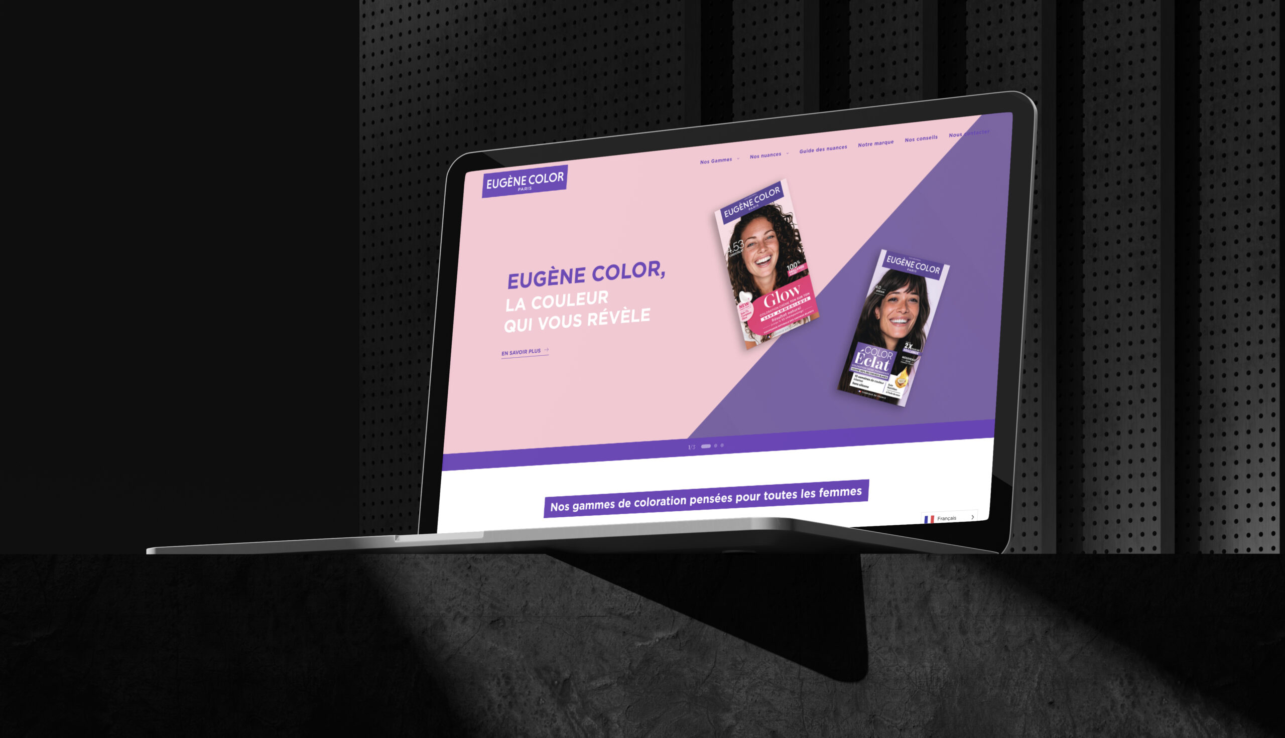 Aperçu du site Eugène Color