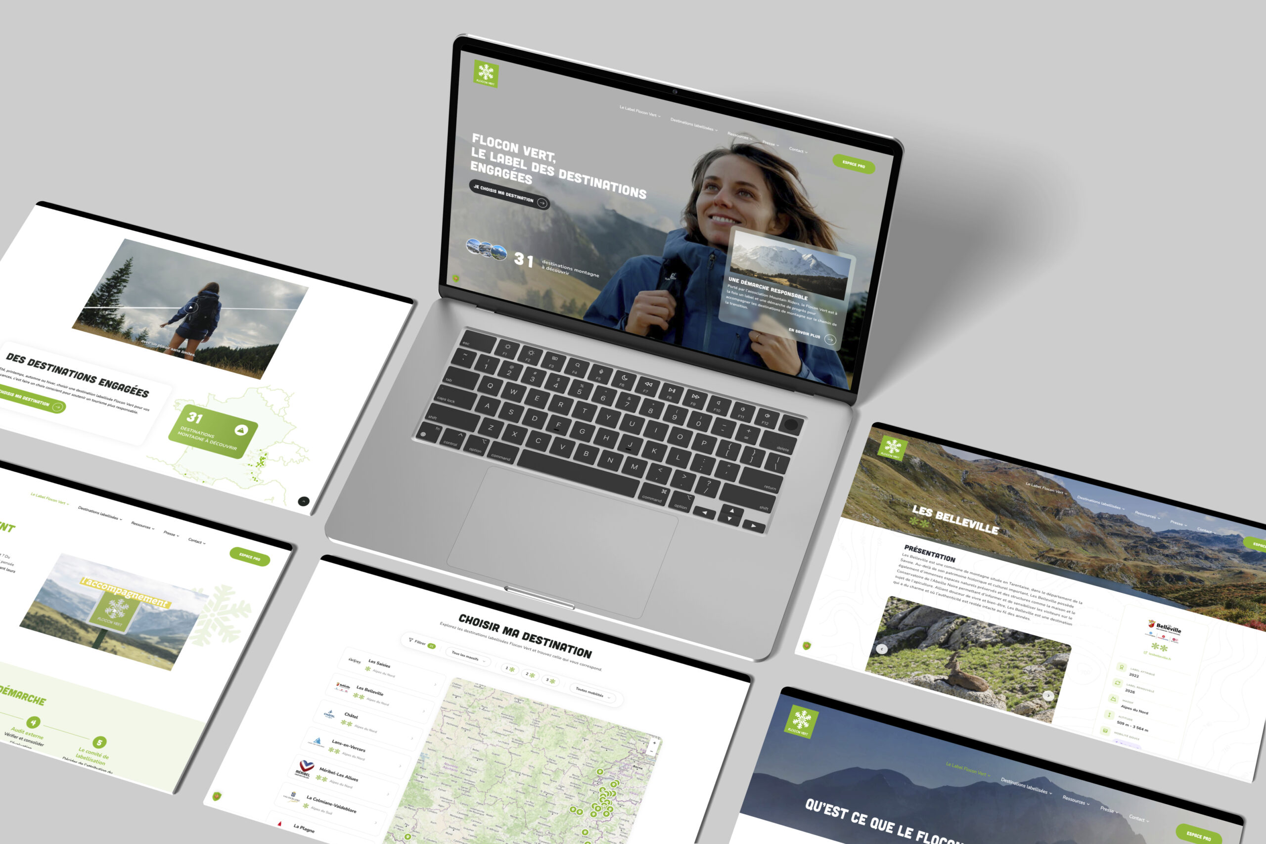 Aperçu du site Flocon Vert