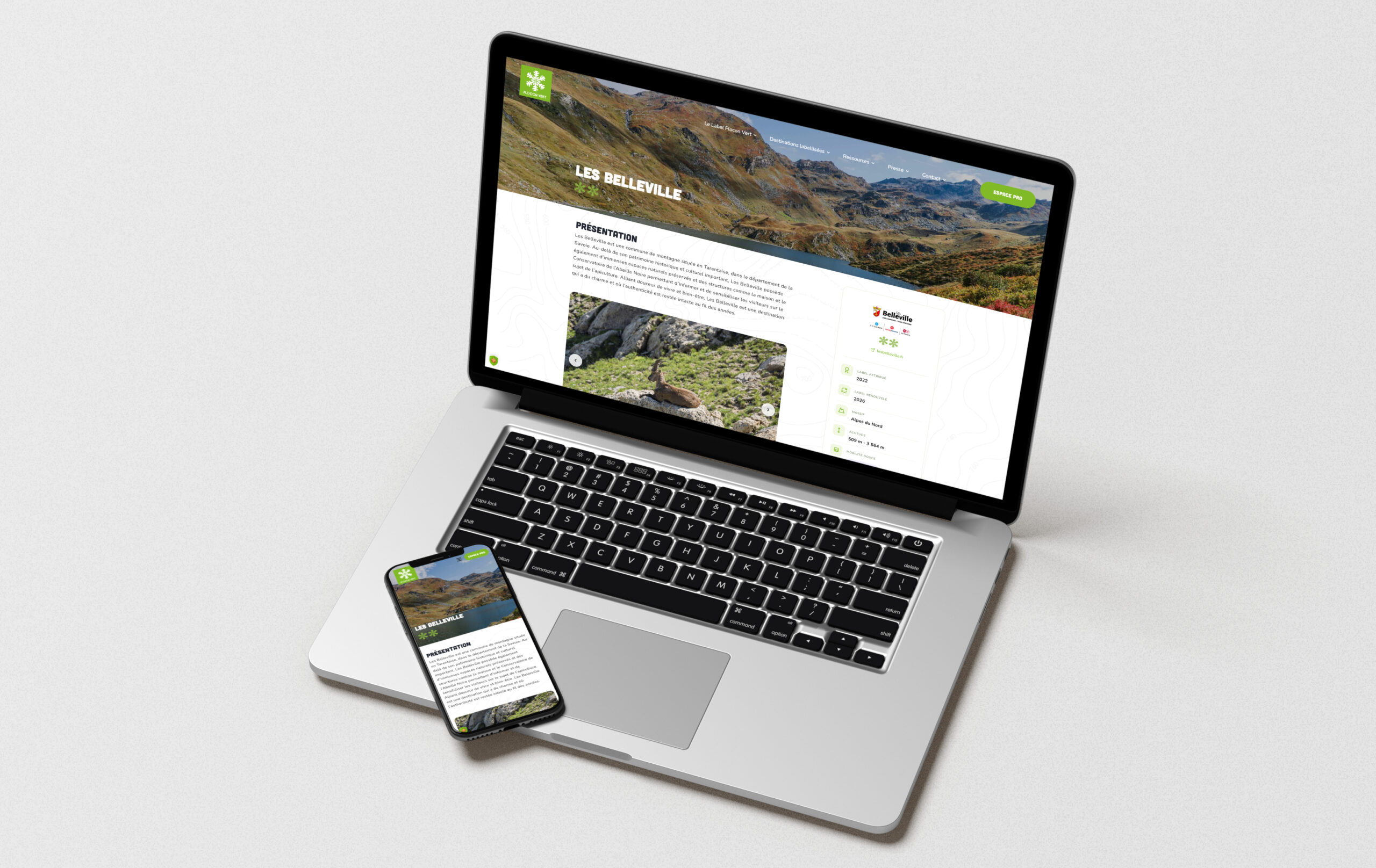 Aperçu du site Flocon Vert