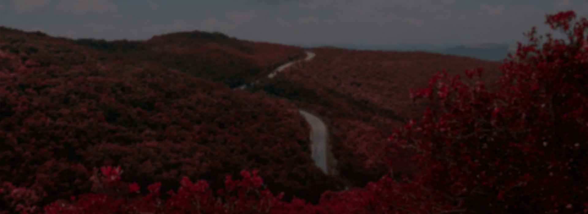 Tests slider 3